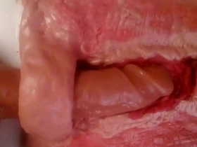 Animated clay motion movie of really close up fucking, internal anal fucking video showing what really happens to your insides when a large cock fucks your ass with every detail shown and large creamy cum shot
